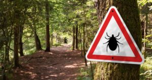 Infected ticks warning sign in a forest. Risk of tick-borne and lyme disease.