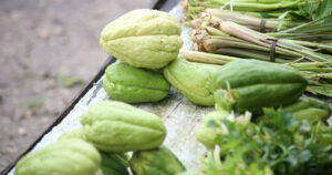 chayote fruit at the market