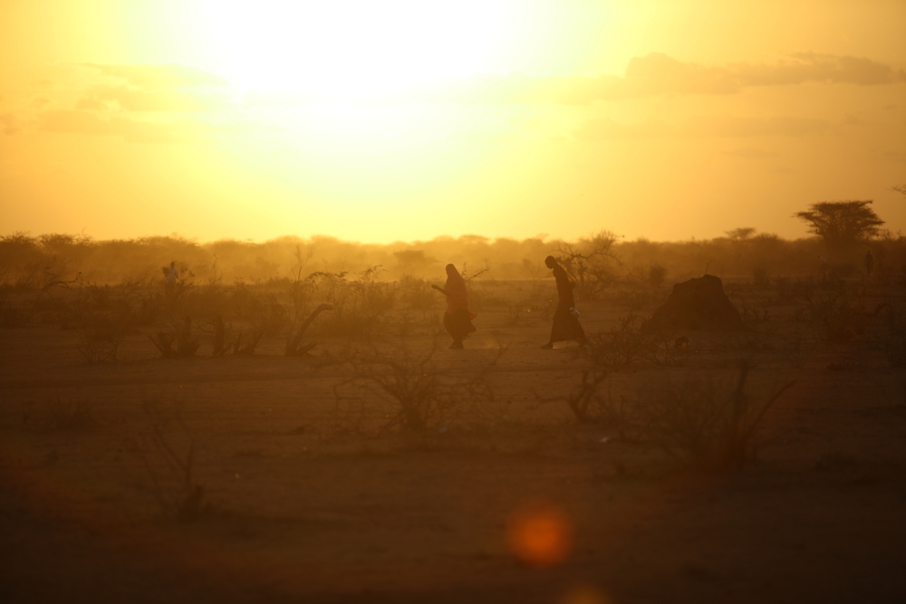 Mogadishu, Somalia - September 28, 2011 - Sandstorm disrupting life in refugee camp, dark sands on dry and dry land. People and animals are weak from hunger and thirst.
