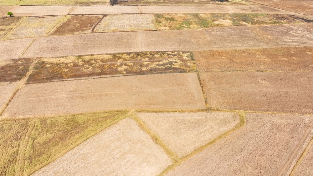 A patchwork of fields depicts a stark narrative: pale beige to dark brown hues signify crop stages and soil degradation. Global warming and drought weave their tale in this agricultural canvas.
