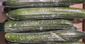 Most People Have No Idea Why English Cucumbers Are Always Wrapped in Plastic Cucumbers wrapped in plastic