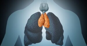 Body’s Most Mysterious Organ May Play a Key Role in Longevity and Cancer Thymus human organ and gland anatomy with lungs and thyroid in a 3D illustration style