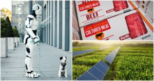 7 Ways Life on Earth Could Be Completely Different by 2050 AI robot walking a dog, cultured meat, sustainable farming. What the world could look like in 2020 concept