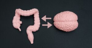 The Gut-Brain Connection: What Science Now Knows Gut brain axis, gut brain connection concept