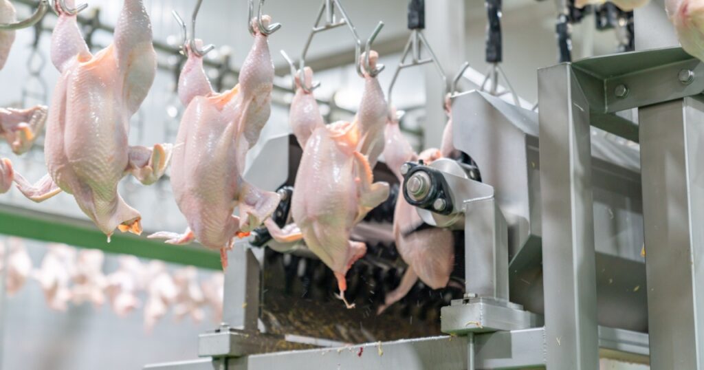 US Chicken Banned in the EU Since 1997, So Why Do We Still Eat It? - Featured image