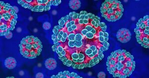 Everything We Need To Know About Hantavirus After Recent Deaths On Cruise Ship Hantavirus Virus outbreak as a is a zoonotic RNA virus transmitted by infected rodents causing severe respiratory and hemorrhagic diseases as pneumonia as a viral pathogen as a 3D illustration