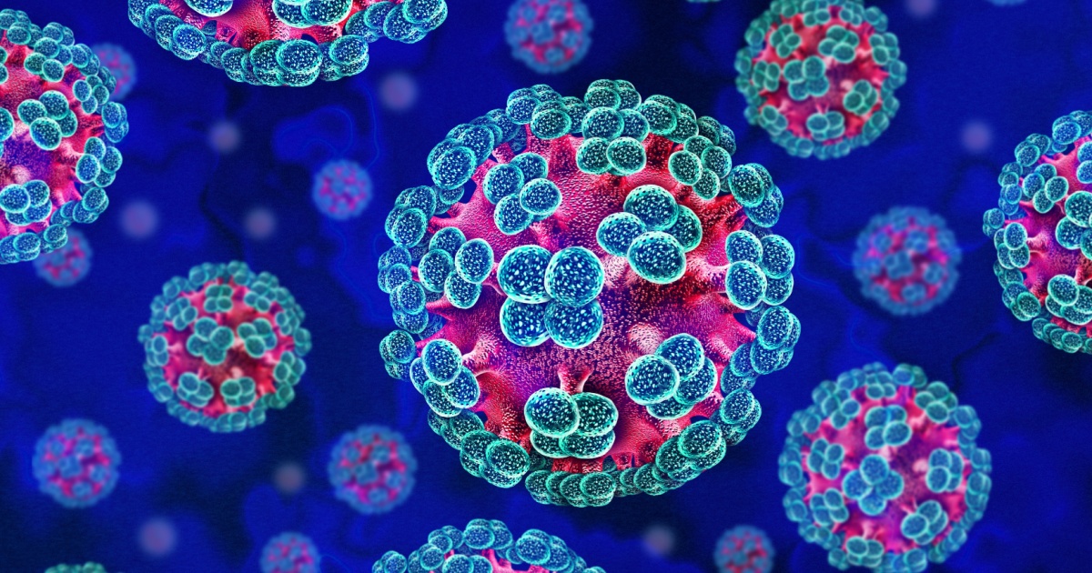 Everything We Need To Know About Hantavirus After Recent Deaths On Cruise Ship