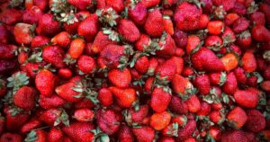 The 2026 Dirty Dozen Is Out — And Forever Chemicals Are Now on Your Produce A Beautifull image of Strawberries Set: Creative recipes and ideas for incorporating this versatile ingredient into your meals and desserts.