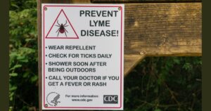"Prevent Lyme disease" sign in Portola Redwoods State Park, Santa Cruz mountains, California