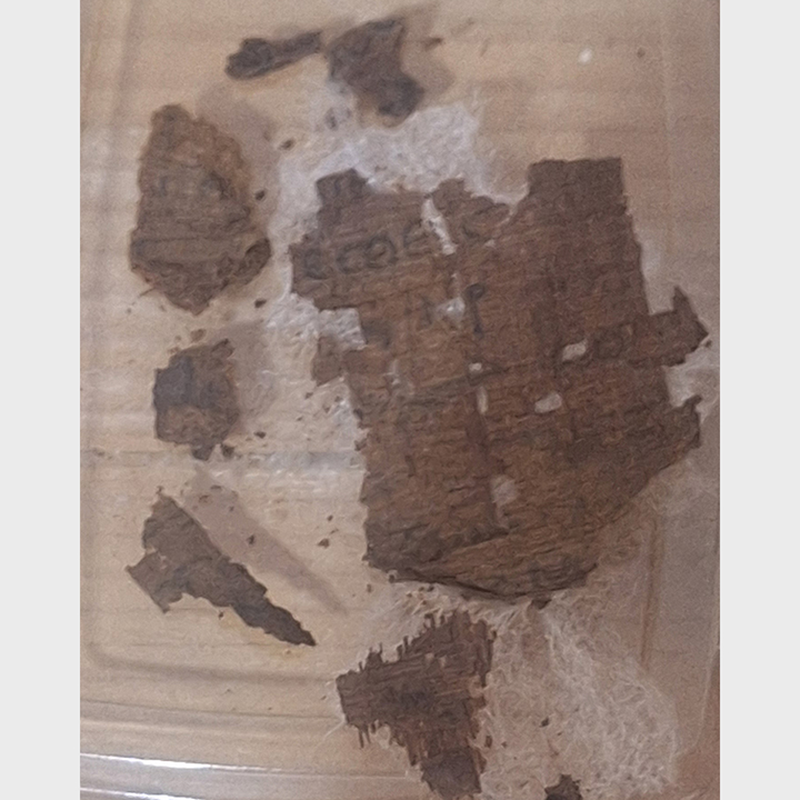 A papyrus containing a small section of the Iliad in an Egyptian mummy.
