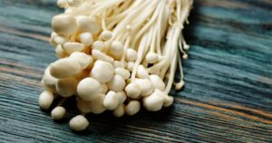 Enoki, Enokitake, Flammulina velutipes, edible mushroom popular in Japanese cuisine. Heap of little white mushrooms served on blue wooden background, close-up.