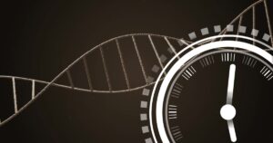 Scientists Built a Clock That Can Actually Predict When You'll Die Image of clock moving over dna strand. Technology, science and digital interface concept digitally generated image.