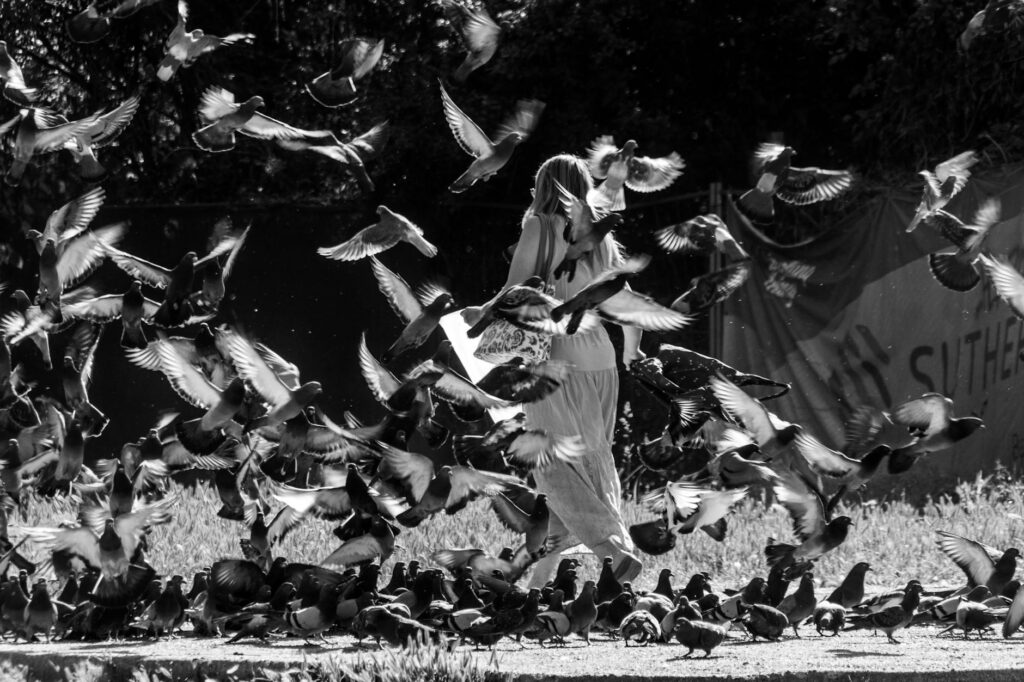 Urban Birds Fear Women More Than Men — And No One Can Explain It - Featured image