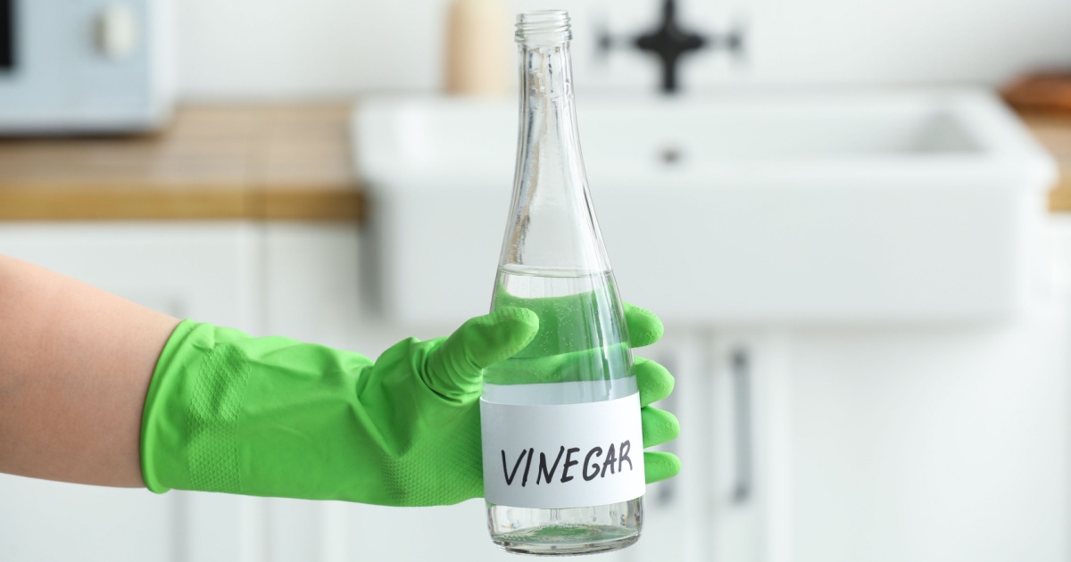 The $3 Trick That Actually Gets Rid of Musty Closet Smell Overnight