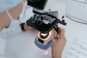 Japan's Tooth-Regrowing Drug Just Passed Its First Human Trial Close-up of a scientist examining samples under a microscope in a laboratory setting.