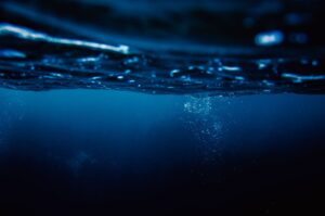 Scientists Find a 5-Million-Year-Old Whale Graveyard 23,000 Feet Below the Indian Ocean A serene underwater scene capturing air bubbles rising to the ocean's surface at night.