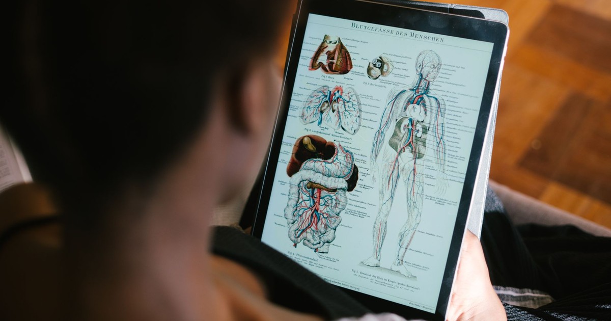 A woman studies anatomy diagrams on a tablet indoors, focusing on educational material.