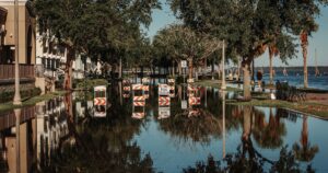 25+ Cities That Could Be Underwater By 2030 — Ranked A flooded street with road closed signs reflecting in the water along a tree-lined sidewalk.