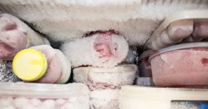 Ice Crystals on Frozen Food? Here's What It Means frozen foods in the freezer compartment