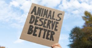 Oregon's IP28: The Ballot Measure That Could Criminalize Hunting, Fishing & Farming Woman holding placard sign with text Animals deserve better, during animal rights march. Protestor with cardboard banner at protest rally demonstration.
