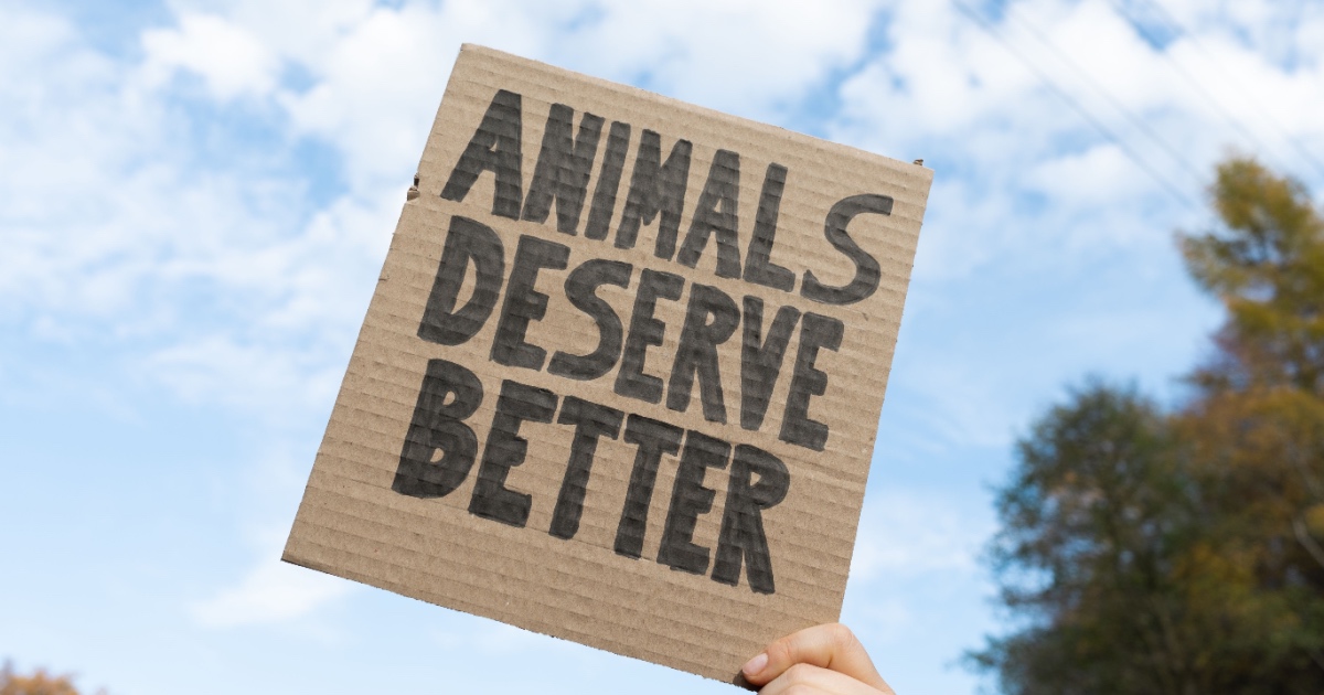 Oregon’s IP28: The Ballot Measure That Could Criminalize Hunting, Fishing & Farming