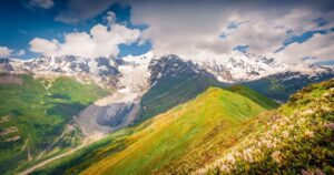 Panoramic afternoon view of blooming white rhododendron flowers in Caucasus mountains. Fantastic summer scene of snovy peaks in the mist, Upper Svaneti, Georgia. Beauty of nature concept background.