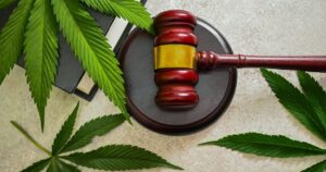 Massachusetts Could Become the First State to Ever Repeal Legal Weed Judge gavel and cannabis leaves on a table, symbolizing the legalization of medical marijuana.