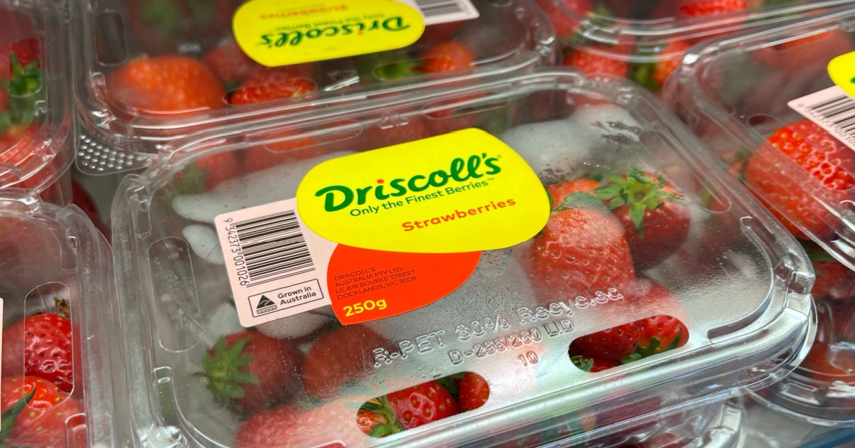 Driscoll’s Faces Consumer Lawsuit Over Claims of ‘Forever Chemicals’ in Its Strawberries