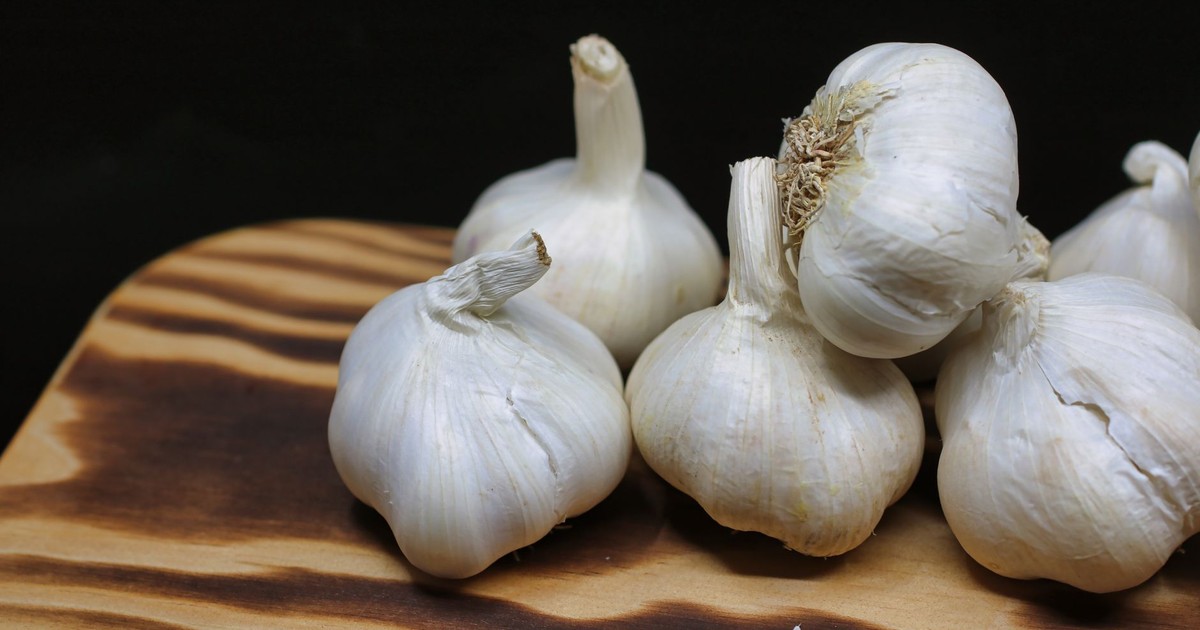 Fresh garlic bulbs placed on a wooden board with a black background, perfect for culinary themes.