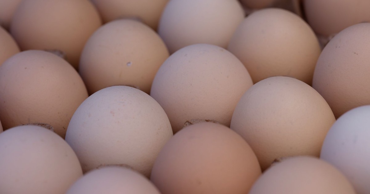 A closeup image of fresh organic eggs in a carton, showcasing their natural colors and textures.