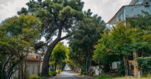 New Study Reveals Which Location Carries the Highest Risk of Dying From Dementia Peaceful city street lined with vibrant trees and residential buildings.
