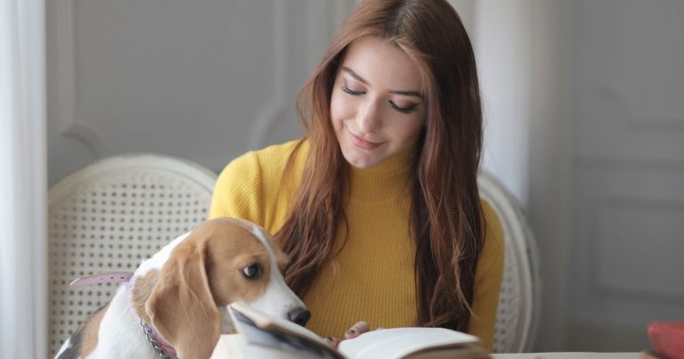 Dogs Brains Today Are Undergoing a Mysterious Expansion, Study - Featured image