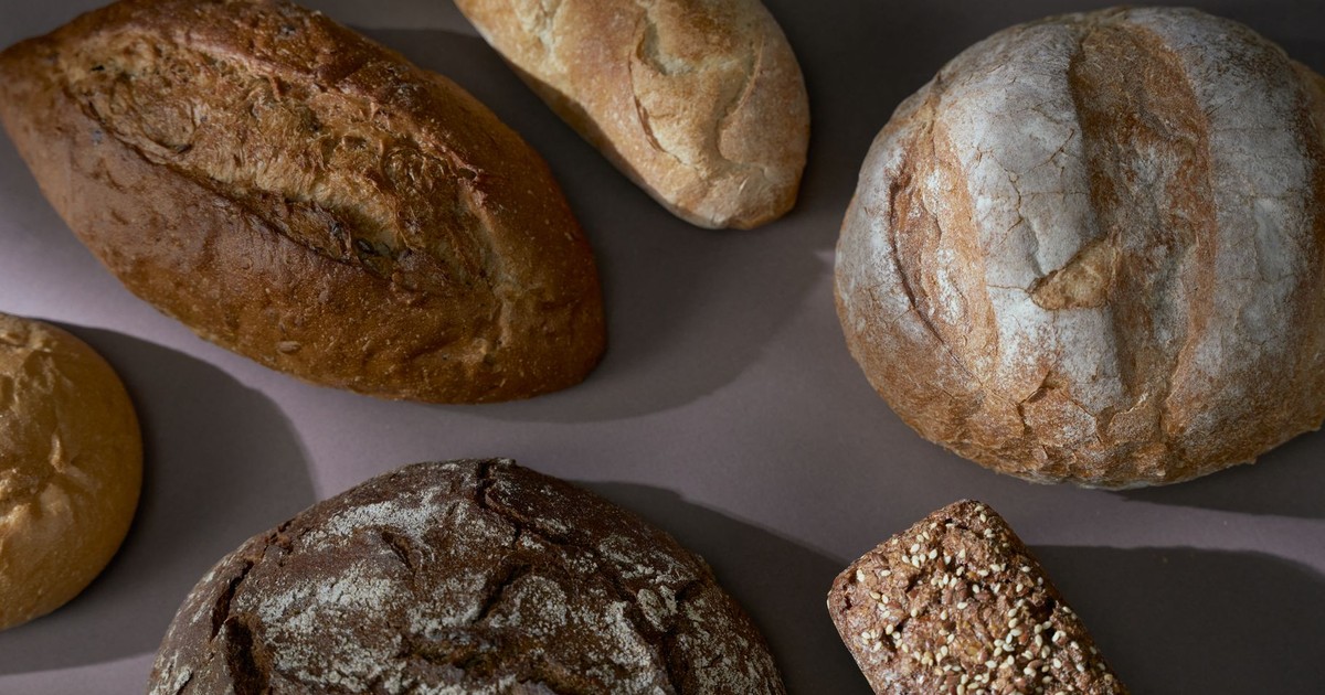 A selection of artisan breads displayed on a flat surface, showcasing diverse textures and styles.