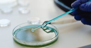 Scientist conducting an experiment with a pipette and petri dish in a lab.