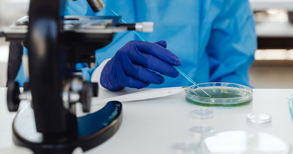 Scientist in laboratory examining samples using a microscope and Petri dish, wearing protective gloves.