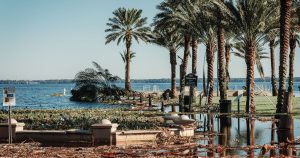 Flooded coastal area with palm trees and an occluded path post-storm damage in Florida.