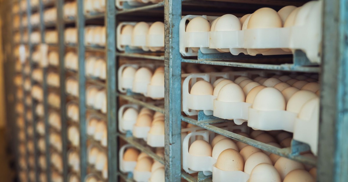 The Exact Amount of Time Eggs Actually Last in Your Fridge