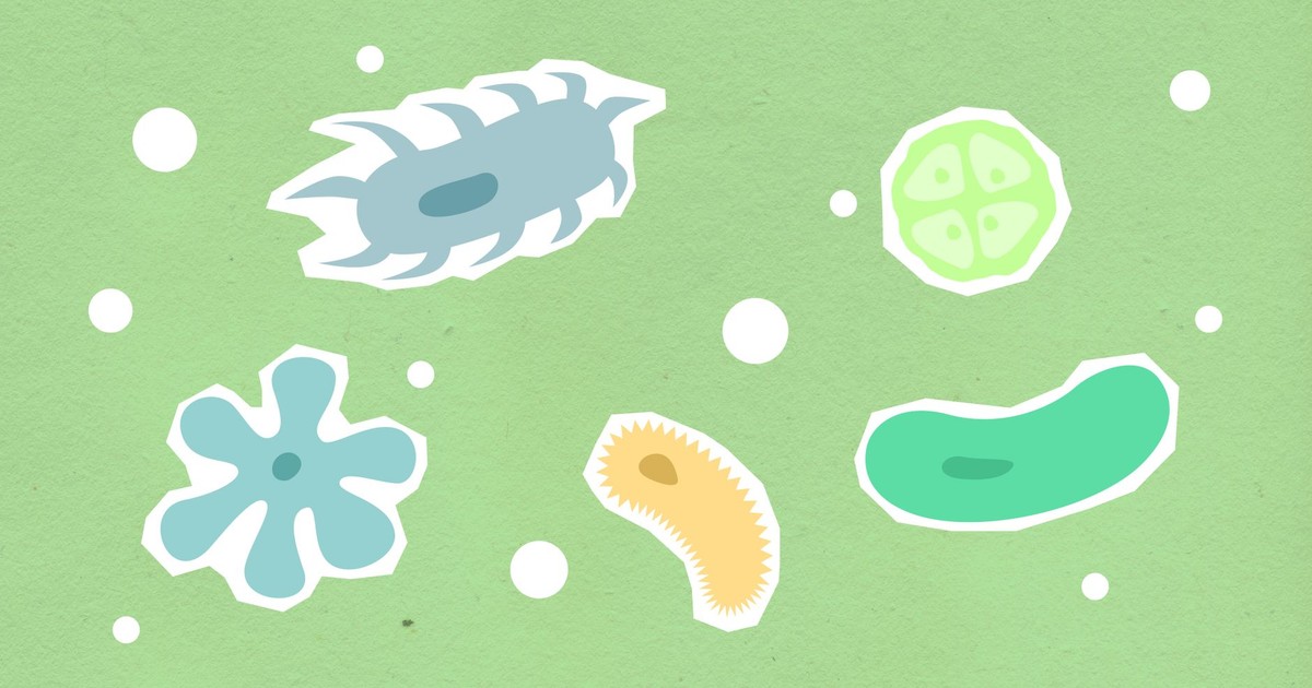 Paper cutout of different shapes and colors contagious types of viruses on green background during disease outbreak