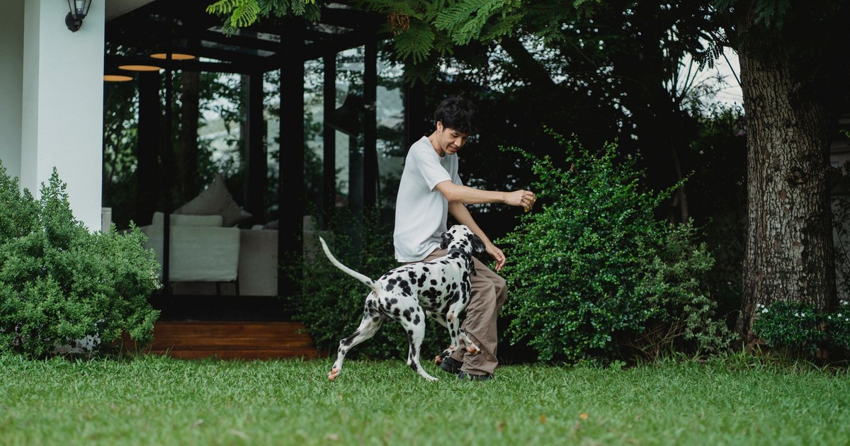 A joyful young man playing with his Dalmatian dog outdoors in a lush green garden.