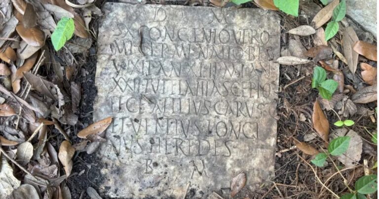 Married Couple Find Mysterious Stone in Their Backyard – Turns Out to Be an Archaeological Treasure - Featured image