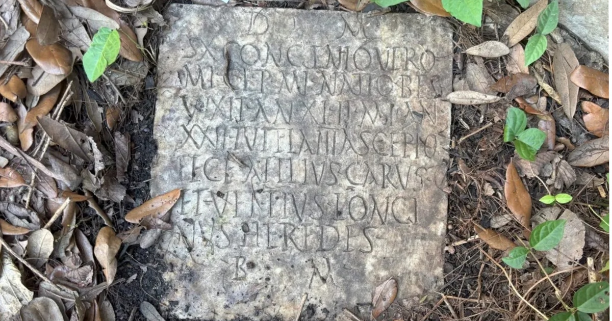 Married Couple Find Mysterious Stone in Their Backyard – Turns Out to Be an Archaeological Treasure