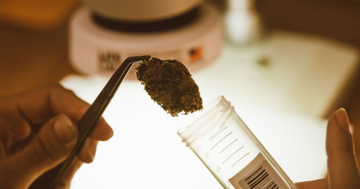 Common Cannabis Compound May Help Ease PTSD Nightmares
