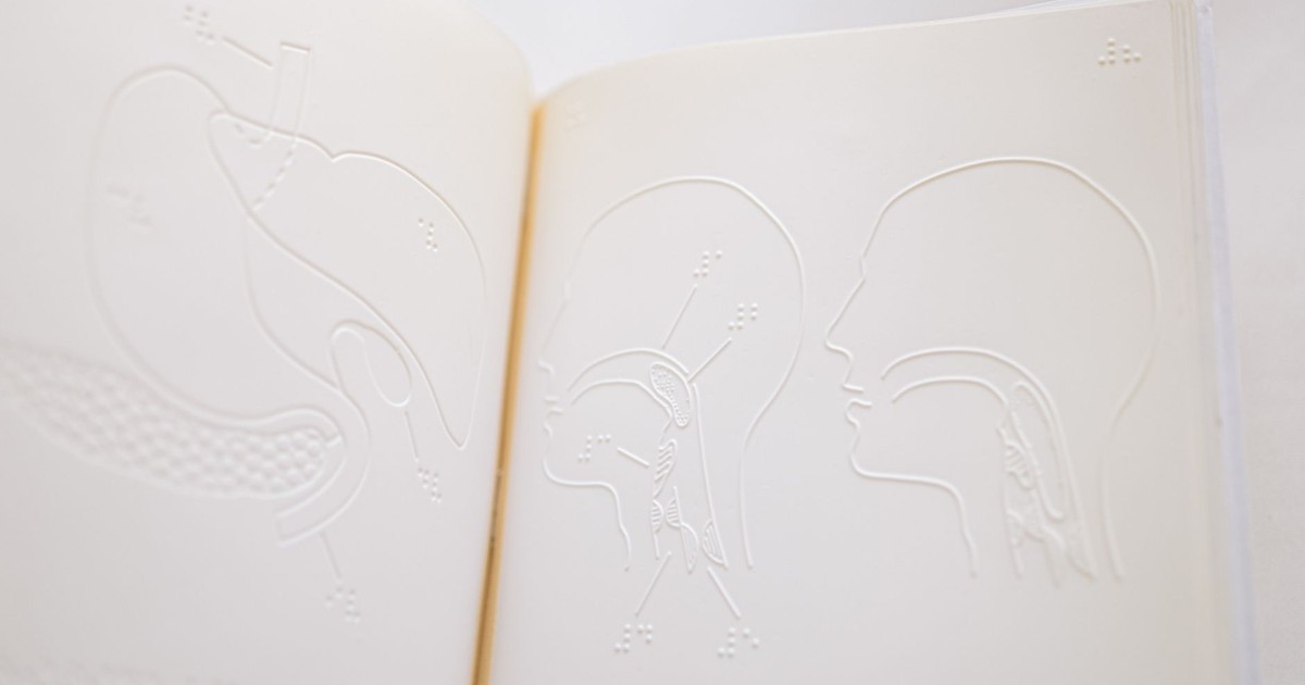 Detailed close-up of embossed anatomy diagrams on an open braille book page.