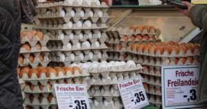 The Egg Price-Fixing Settlement Is Real — Here's What You're Actually Owed Stacks of fresh eggs in trays on sale at a traditional market in Frankfurt.