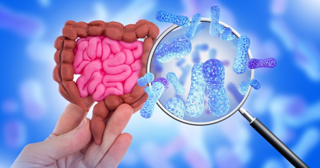 Gut Microbiome and Allergies: What the Research Is Finding - Featured image