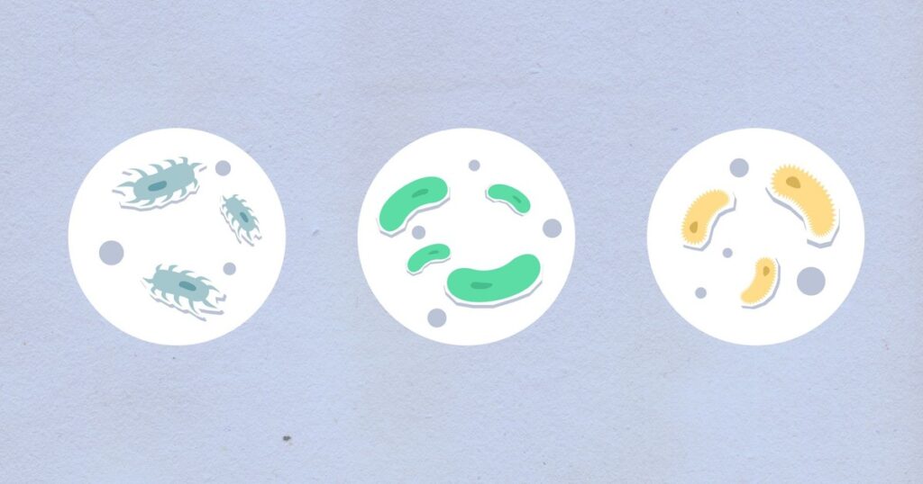 Gut Bacteria May Have a Bigger Role in Parkinson’s Than Anyone Realized - Featured image