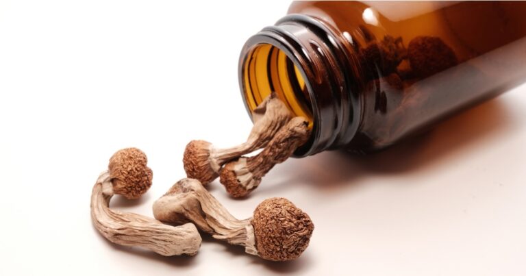 Oregon’s Legal Psilocybin Program Treated 346 People — Here’s What Happened - Featured image