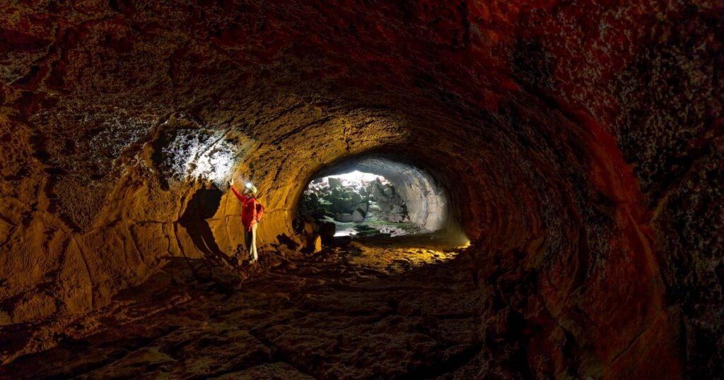 Researchers Discover Demon Cavefish While Exploring Cave - Featured image