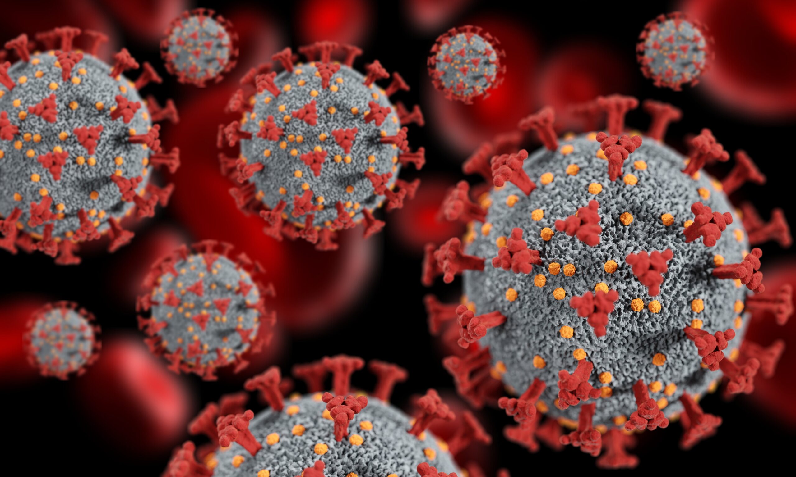 The Ebola Outbreak Killing 2,000 in DRC — What Americans Actually Need to Know