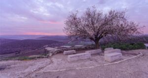 Azekah, Israel - January 16, 2025: Sunrise view of a lone tree, countryside and rolling hills in Tel Azekah, the Shephelah region, south-central Israel. Texts are bible verses regarding king David
